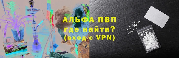 ешки Новодвинск